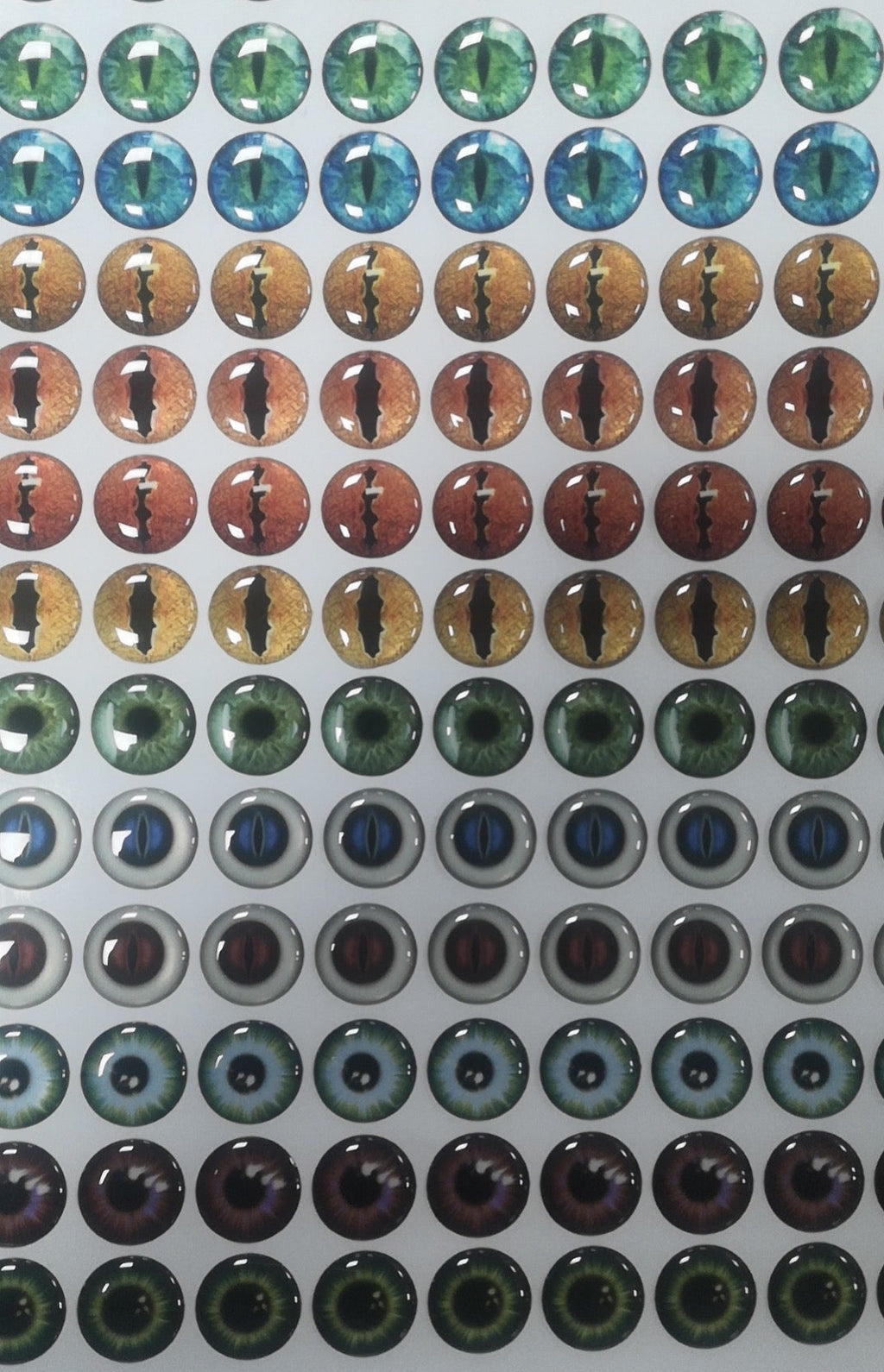 GLUE EYE with SELF ADHESIVE STICKERS – Eco-Friendly, Burr-Free, Custom Sizes & Designs