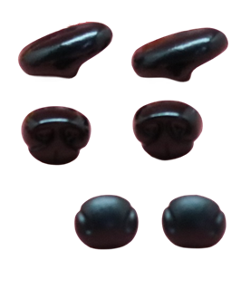 BIRD NOSE for Toys – Eco-Friendly, Smooth, Vibrant Colors | Custom Sizes & Designs | EN71/REACH/RoHS Certified